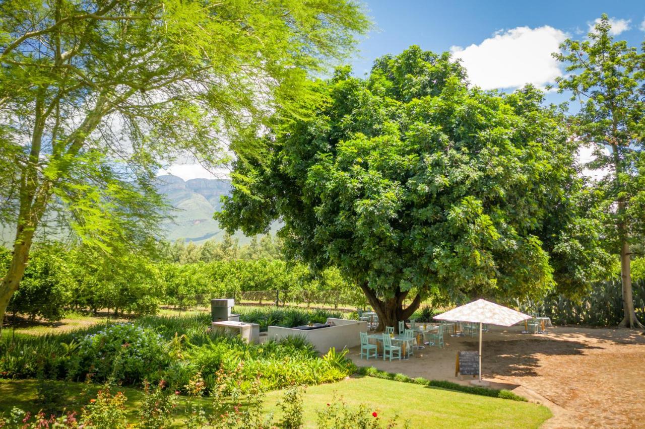Francines Venue Pty Ltd Bed & Breakfast Hoedspruit Exterior photo